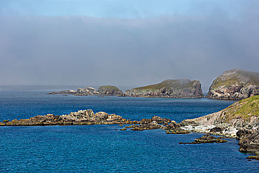 沿岸,岩石构造,雾,堤岸,岸边,小湾,纽芬兰,加拿大