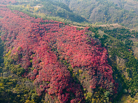 航拍济南南部山区秋色