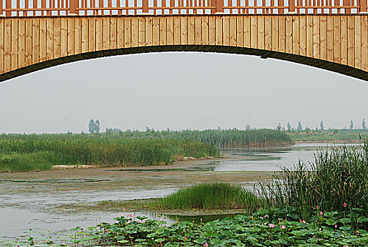 白洋淀的木桥