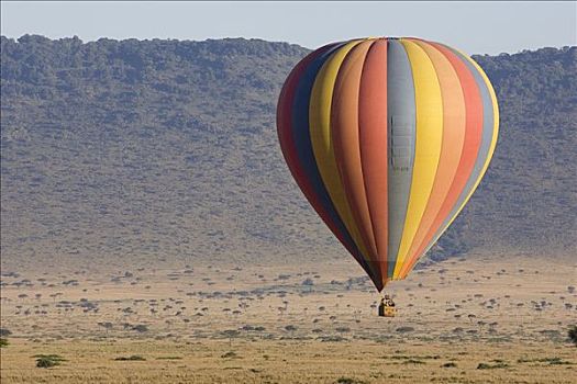 热气球,上方,热带草原,马赛马拉,三角形,肯尼亚