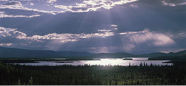野生动植物保护区,阿拉斯加,美国