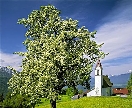 教区教堂,春天,旅店,山谷,提洛尔,奥地利