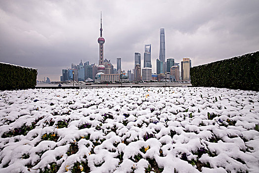 上海外滩东方明珠雪景