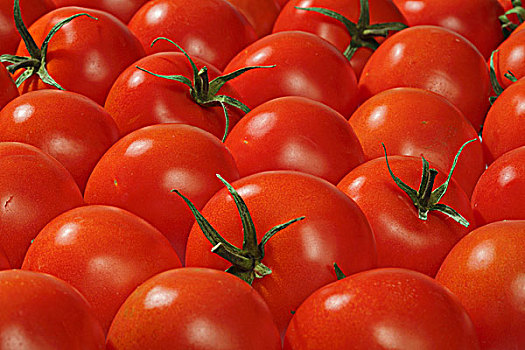 西红柿,微距,变焦