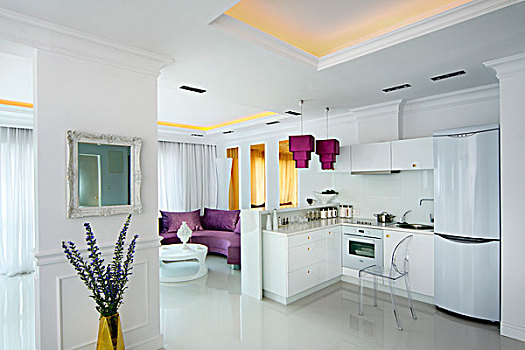 光泽,白色,地面,厨房,紫色,金色