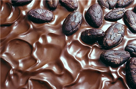 巧克力糖衣,可可豆