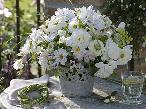 白色,夏末,花束,玫瑰,麝香豌豆花,百日菊