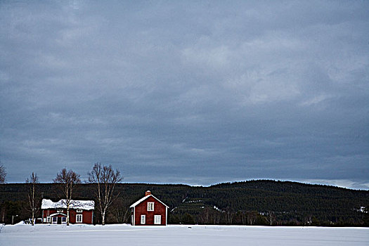 红色,木屋,瑞典