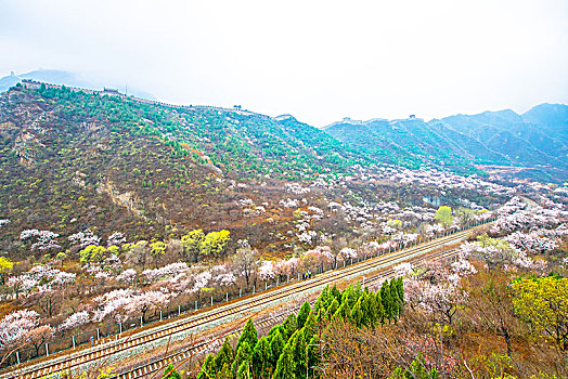 花海列车