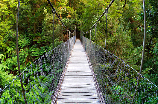 吊桥,国家公园,维多利亚