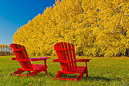 两个,椅子,边缘,干草,土地,背景,靠近,曼尼托巴,加拿大