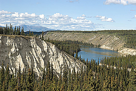 育空河,悬崖,河岸,育空地区,加拿大