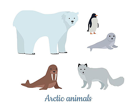 北极,动物,设计,野生,食草动物,食肉动物,物种,极地,啤酒,海豹,狐狸,海象,企鹅,插画,自然,概念,孩子,书本,材质