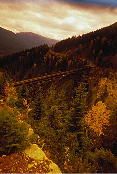 铁轨,树,日落,靠近,不列颠哥伦比亚省,加拿大