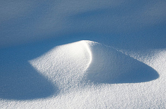 冬天,不列颠哥伦比亚省,品种,风景,特写,雪