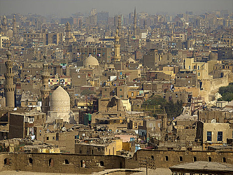开罗,中心,区域