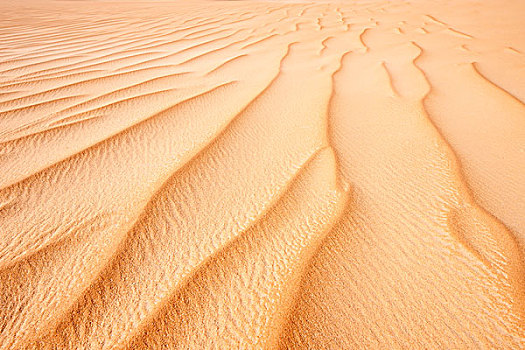 特写,波纹,沙子,撒哈拉沙漠,费赞,利比亚