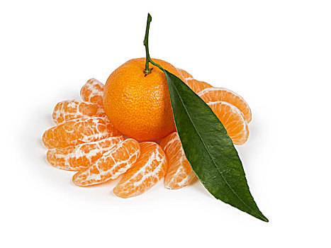 柑橘,叶子,切片,隔绝,白色背景