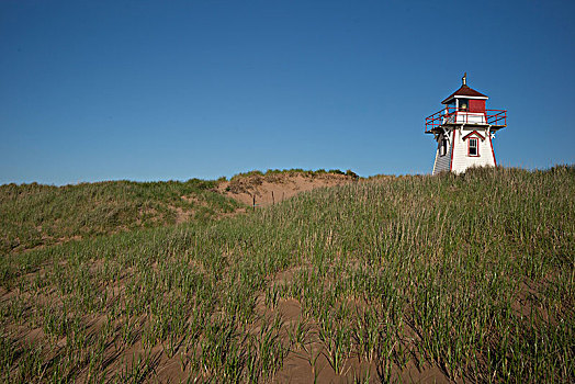 灯塔,海岸,北岸,爱德华王子岛,国家公园,加拿大