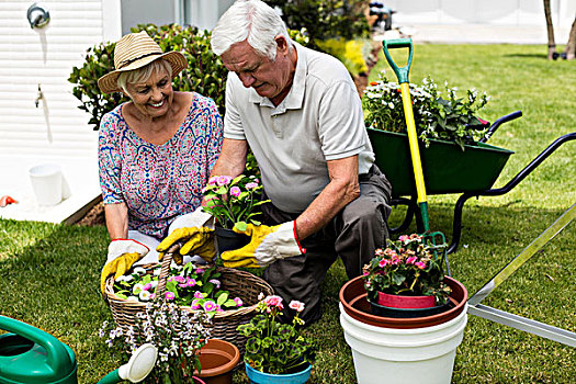 老年,夫妻,园艺,一起,后院