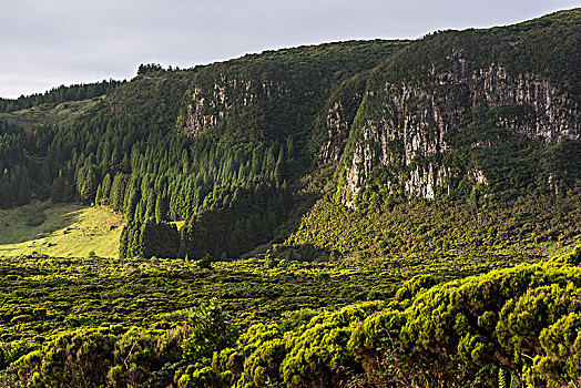 风景,亚速尔群岛,岛屿