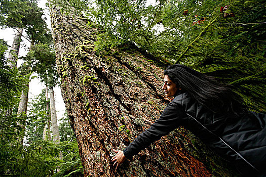 女人,树,搂抱,省立公园,温哥华岛,不列颠哥伦比亚省,加拿大