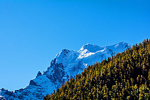 夏洛多吉雪山