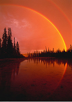 一对,彩虹,日落,伍德布法罗国家公园,艾伯塔省,加拿大