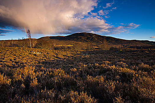 彩虹,上方,高沼地,凯恩戈姆国家公园,苏格兰高地,苏格兰