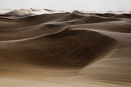 沙丘,沙子,海洋,埃及