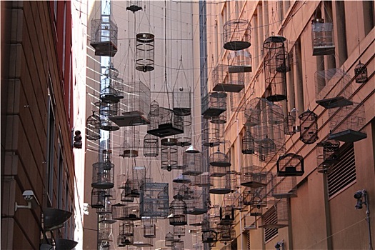 悬吊,鸟笼,城市,通路,悉尼,澳大利亚