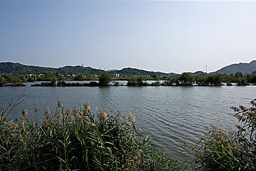 白马湖湿地