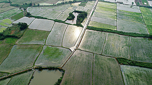 美好乡村,绿色家园