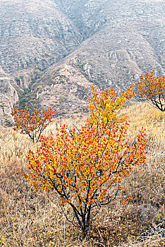 桑干河大峡谷生态旅游区