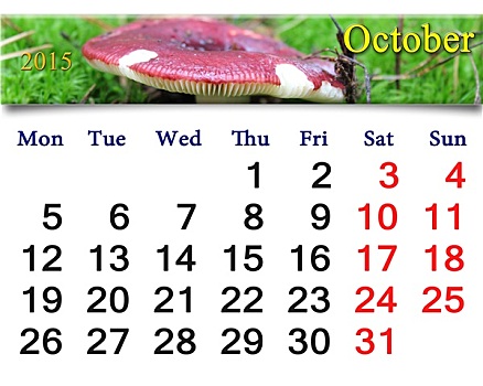 日程,十月,蘑菇