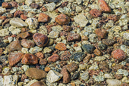 岩石,海床,背景,不同,尺寸,彩色,石头,透明,水