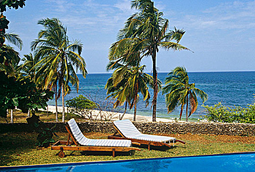 一对,沙滩椅,边缘,游泳池,棕榈树,海洋
