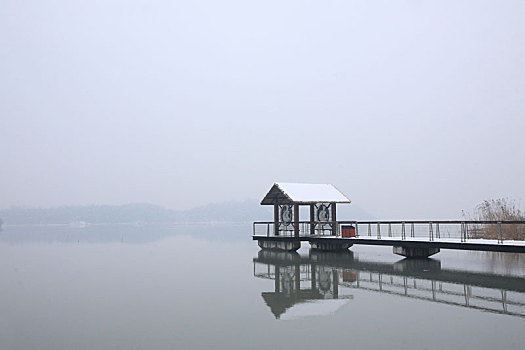 水面,船,渔船,倒影,树