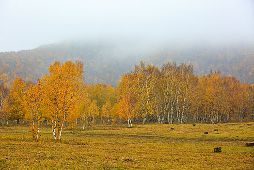 野外,远景,山坡