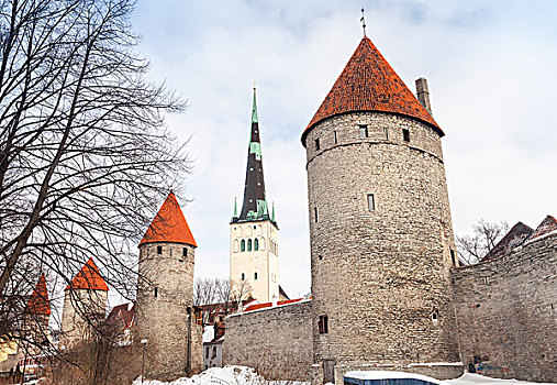 古老,石头,要塞,高,大教堂,老,塔林,风景,爱沙尼亚