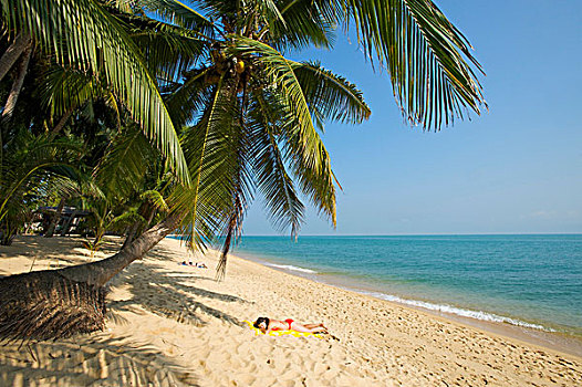 海滩,苏梅岛,岛屿,泰国,亚洲
