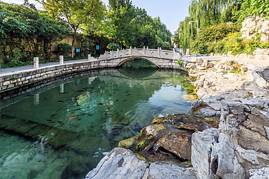 济南市珍珠泉大院小桥流水鱼游风景