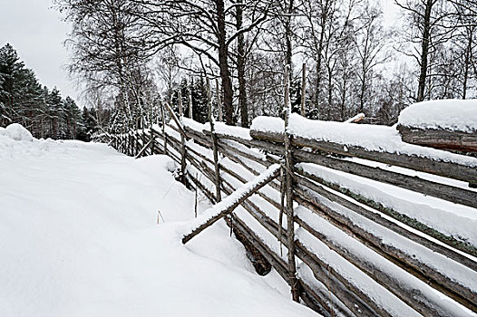 瑞典,冬天