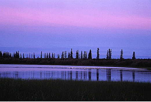 日落,加拿大西北地区,加拿大