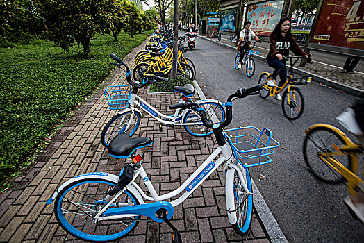 共享单车,自行车