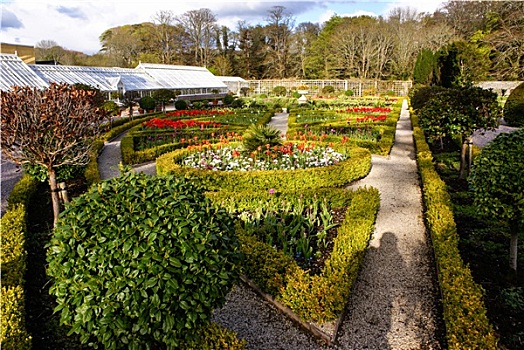 花园,基拉尼国家公园,爱尔兰
