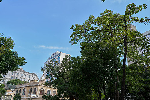 羊城广州沙面古建筑群打卡地