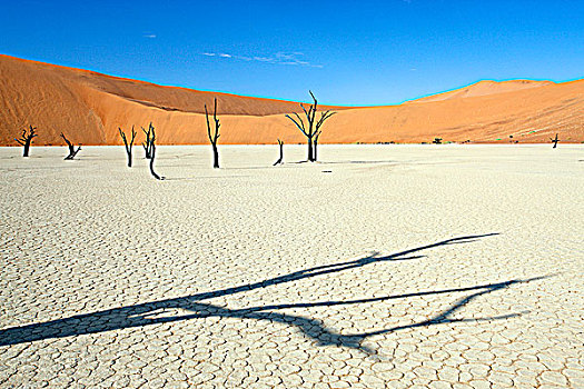 纳米比亚,纳米布沙漠,纳米比诺克陆夫国家公园,死亡谷