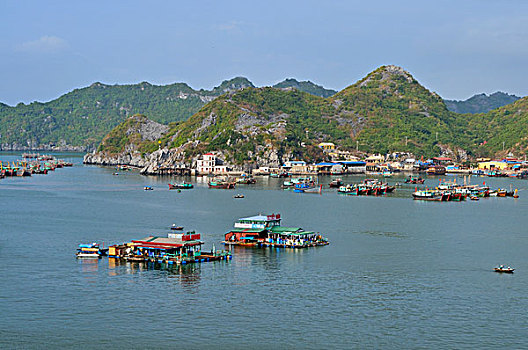 港口,下龙湾,越南,东南亚