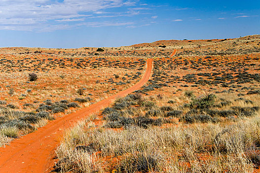 道路,红色,沙丘,卡拉哈迪大羚羊国家公园,卡拉哈里沙漠,北开普,南非,非洲